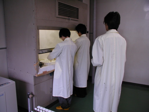 原子工学科学生実験(非密封RI)