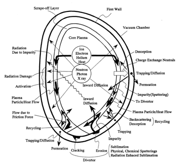 図1 プラズマ壁相互作用