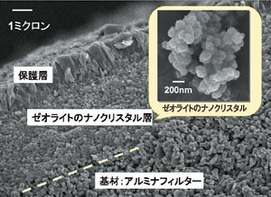 図2　開発した脱水膜の断面写真