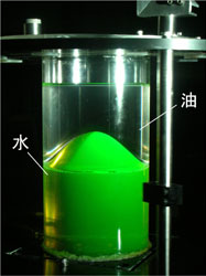 図1　円形の容器に水（緑に着色）と油を入れ、回転させたところ