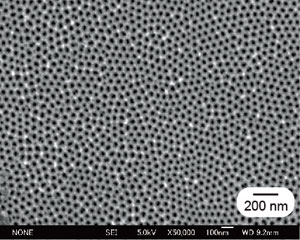 図1　硫酸中で形成した多孔質アノード酸化アルミナ