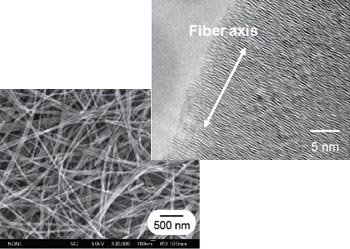 図2　アノード酸化アルミナを鋳型として合成したカーボンナノファイバー