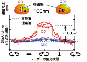 図2　隣合う2つの量子ドットの1つだけに生成した核磁場