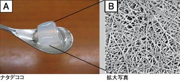 図1　バクテリアセルロースの一種、ナタデココ