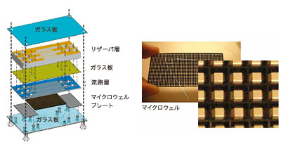 図2　細胞診断チップの開発