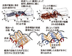 図2　砕波の水面形と渦核の分布（渦構造を表す）の数値計算結果（上）、水面直下の組織渦による水面変形と海中への水面の取り込み（下）