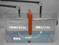図2　Na電解精製装置の模型
