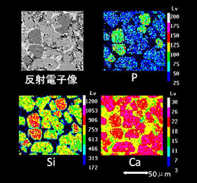 図1　エコセメント・クリンカーの反射電子像とEPMA元素分布図