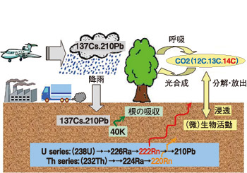 図3 土壌中における環境変化