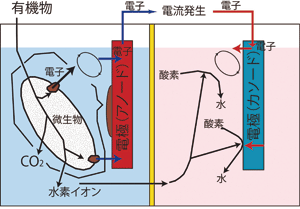 図2