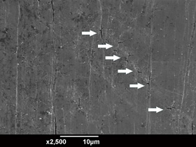 図4　疲労試験片表面に現れた微小亀裂
