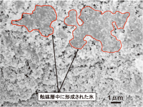 図1 燃料電池内の触媒層に形成された氷の電子顕微鏡写真（世界的にも貴重）
