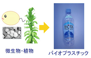 微生物・植物→バイオプラスチック