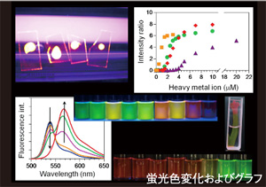 蛍光色変化およびグラフ