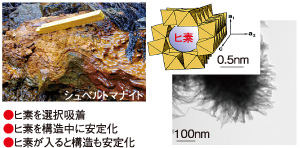 図1 天然に産するシュベルトマナイトの特性、構造、形態