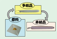 単結晶試料作製プロセス