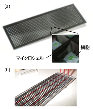 図1 全球気候モデルの概要