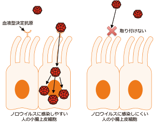 図1