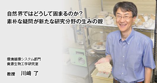 自然界ではどうして固まるのか？ 
素朴な疑問が新たな研究分野の生みの親　環境循環システム部門　資源生物工学研究室　教授　川﨑 了