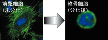 図1