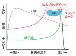 図1