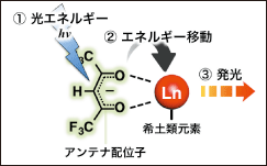 図1