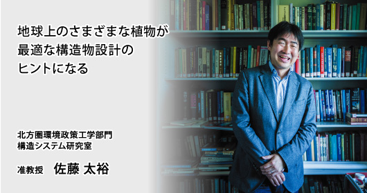 地球上のさまざまな植物が最適な構造物設計のヒントになる　北方圏環境政策工学部門　構造システム研究室　准教授　佐藤 太裕