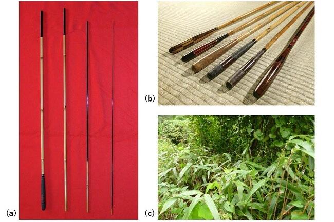 なぜ日本人は竹で釣竿をつくるのか？～その秘密は「材料」だけでなく「形」にもあった～