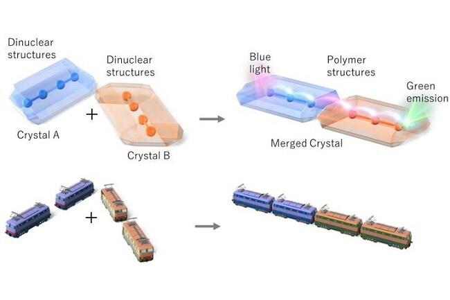 世界初！効果的に光情報を伝達する連結した列車型分子「フォトニック分子列車」を開発～高速光コンピューターの回路設計への応用展開に期待～