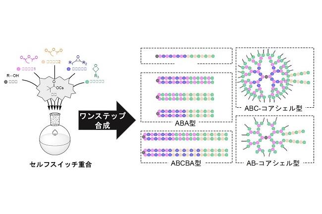 複雑な構造を有する高分子材料をワンステップで合成～ポリエステル系ブロックポリマーの用途拡大に期待～