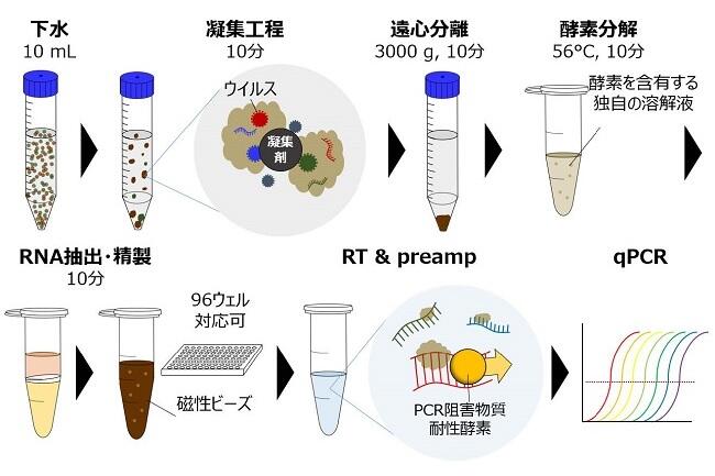 自動化に適した下水中新型コロナウイルスの高感度検出技術（COPMAN法）を開発～本技術の普及による下水疫学調査の社会実装の更なる加速に期待～ (PDF)