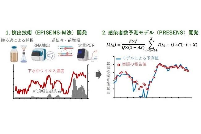 下水疫学に基づくCOVID-19感染者数予測モデルを開発～定点把握への移行後における感染動向予測ツールとしての社会的活用に期待～