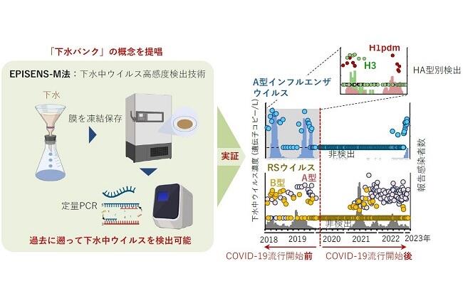 COVID-19流行が他のウイルス性呼吸器感染症に与えた影響を遡及型下水疫学調査により可視化～ポストコロナ社会における公衆衛生情報アーカイブとしての「下水バンク」の活用に期待～