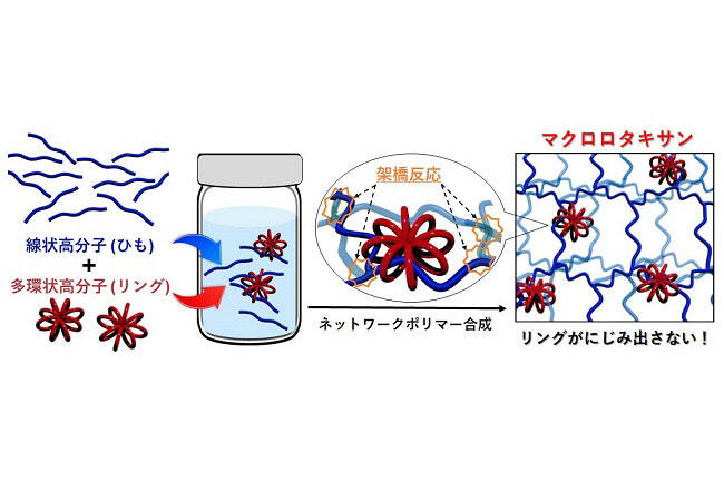 「高分子のリングとひも」