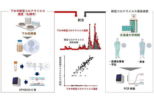 下水中の新型コロナウイルス濃度が医療機関における感染者数の指標になることを証明～医療機関の負荷をリアルタイムに推定するためのツールとしての下水疫学データの活用に期待～