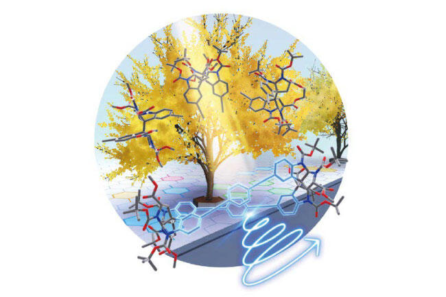 天然物を利用した円偏光発光分子の新規合成法―2量体骨格の配座を制御して強力な円偏光発光を示す分子群を効率よく合成― (PDF)