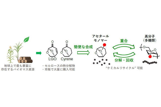 バイオマスから分解・回収可能な非天然型多糖材料へ～持続可能な機能性高分子材料の創出に期待～