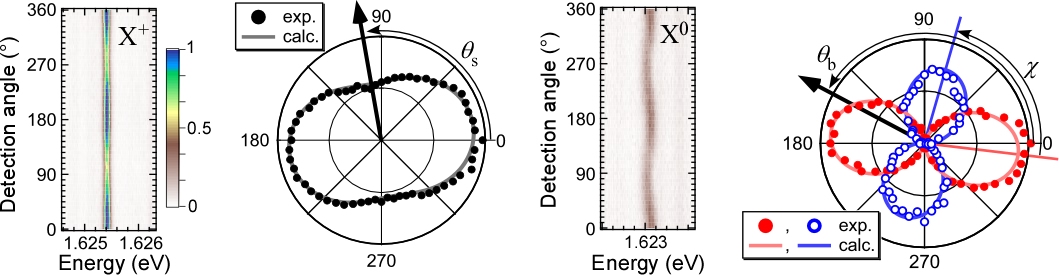 Pol2.jpg(236784 byte)