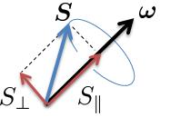 spin precession