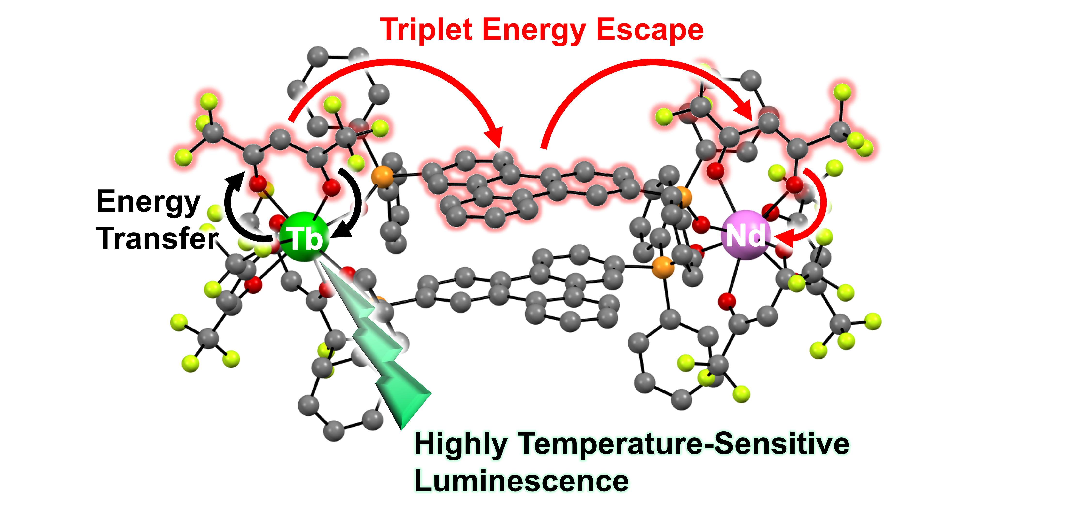 Graphical abstract for Yamaguchi et al., Commun. Chem. 2025