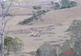 Picton (Australia) に見られる水路の分岐