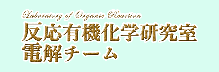 反応有機化学研究室電解チーム