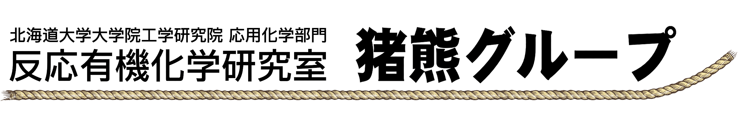 北海道大学大学院工学研究院 応用化学部門 有機工業化学分野 反応有機化学研究室 構造有機グループ