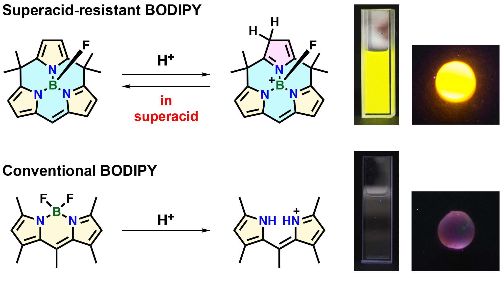 Superacid-resistant BODIPY