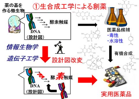 画像の説明