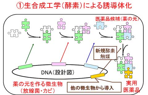 画像の説明