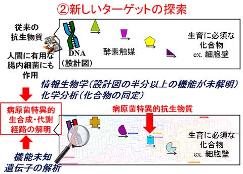 画像の説明