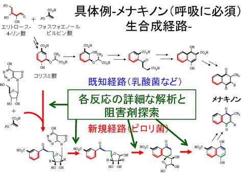 画像の説明