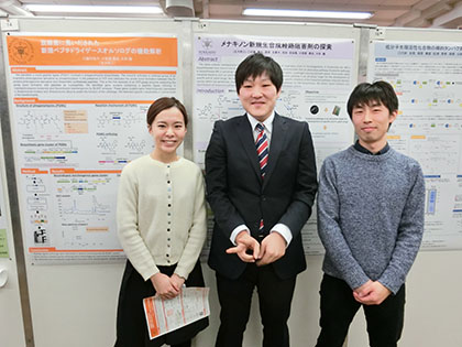 画像の説明