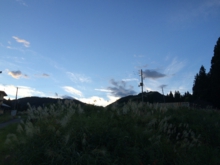 2016-09-04 17.54.17.jpg